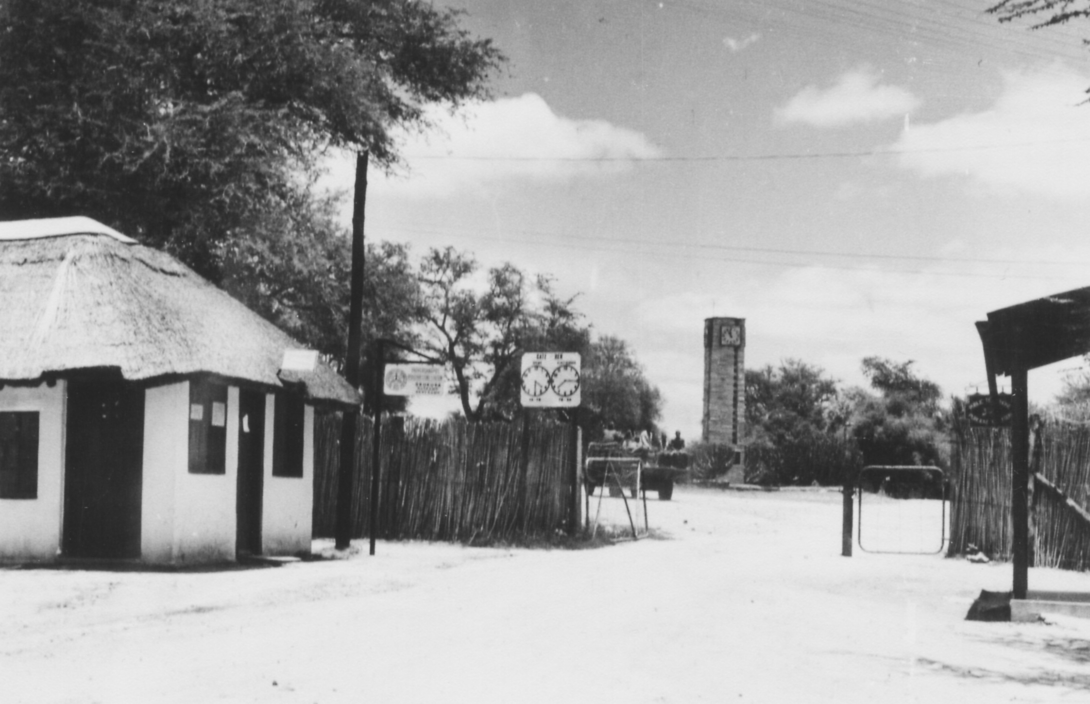 Operation Rhino 1961 Kruger conservation success